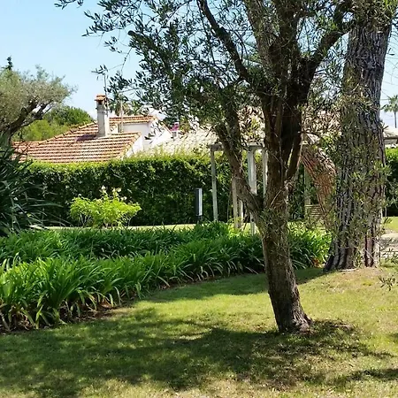 Cap D'antibes * 昂蒂布